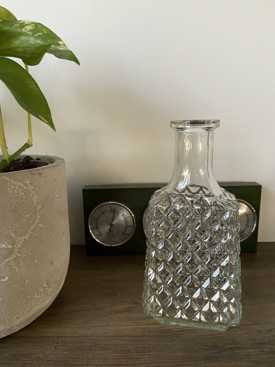 Ecosphere Vintage - Glass Vase